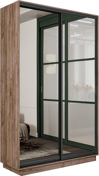 Шкаф-купе ТриЯ Румер-2 СШК 3.120.60-13.13(Н) 2-х дверный - фото