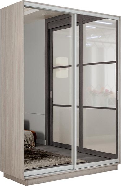 Шкаф-купе ТриЯ Румер-2 СШК 3.140.70-13.13 2-х дверный - фото