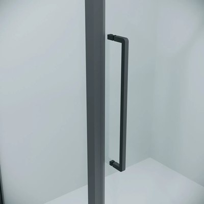 Душевая дверь Niagara Nova NG-35-9AGR 90х195