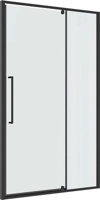 Душевая дверь Niagara Nova NG-35-11AGR 110х195