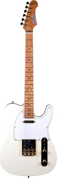 Электрогитара JET JT-300 AW G - фото