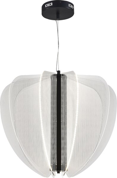 Потолочный светильник ST Luce SL6509.403.01 - фото