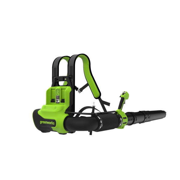 Воздуходувка аккумуляторная Greenworks GD40BPG2 / 2408107UB