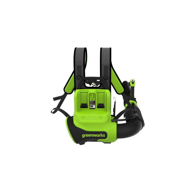 Воздуходувка аккумуляторная Greenworks GD40BPG2 / 2408107UB