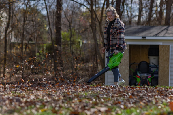 Воздуходувка аккумуляторная Greenworks GD60BVII / 2409307