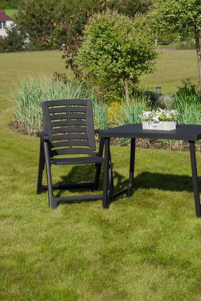 Стул складной Ipae Progarden REX56CAN