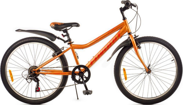 Велосипед FAVORIT Sirius-24VS / SIR24V12OR - фото