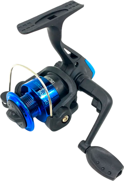 Катушка безынерционная Dayo DF-200-1BB - фото