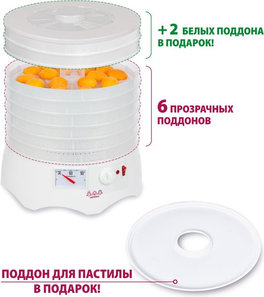 Сушилка для овощей и фруктов Мастерица EFD-0602VM