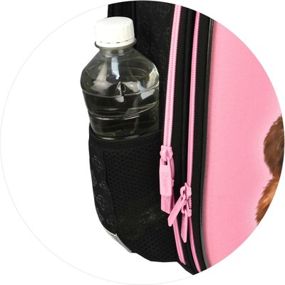 Школьный рюкзак Феникс+ Брюнетка с собачкой / 68240