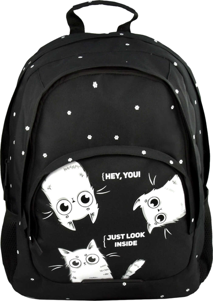 Школьный рюкзак Феникс+ Три кота / 68245 - фото