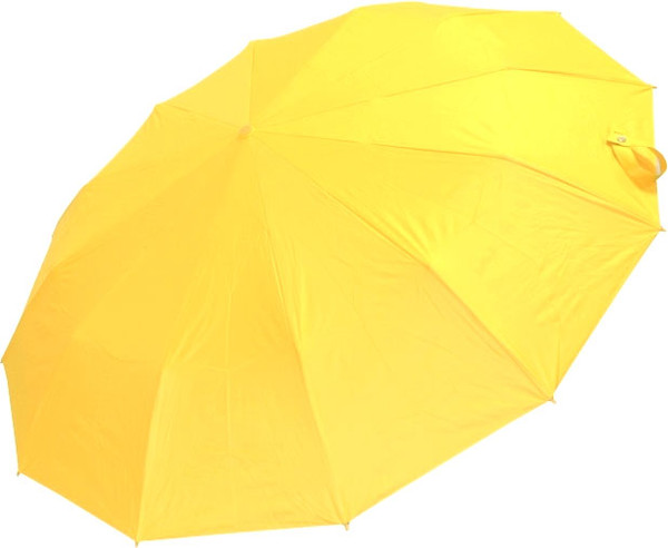 Зонт складной Ame Yoke ОК55-12DR - фото