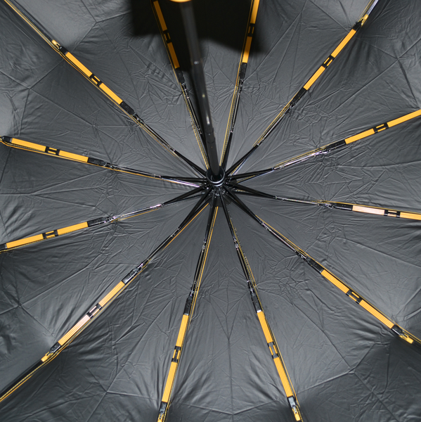 Зонт складной Ame Yoke ОК55-12DR