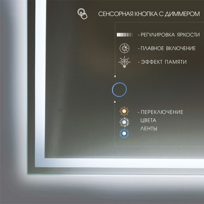 Зеркало Алмаз-Люкс Darwin 80100s-1