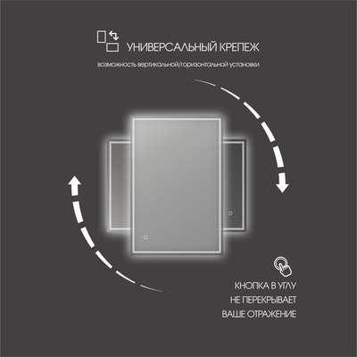Зеркало Алмаз-Люкс Darwin 80100s-1