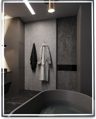 Зеркало Алмаз-Люкс Darwin 80100s-1