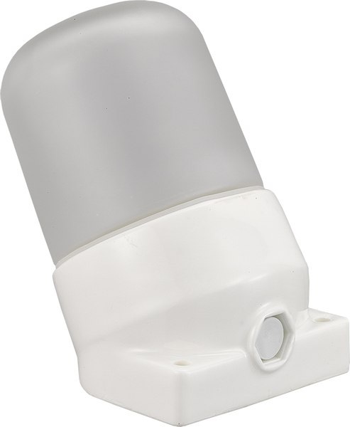 Светильник ЖКХ General Lighting Для сауны GCF-SNC-60-E27-IP65-W / 437768 - фото