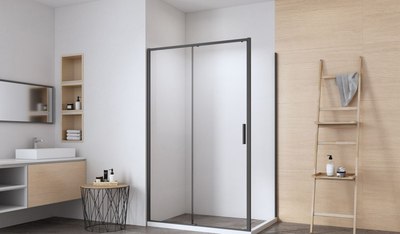 Душевая стенка Aquanet Pleasure Evo 100 / AE65-F100-BT