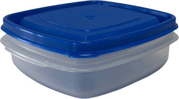 Контейнер Термопласт 081с - фото