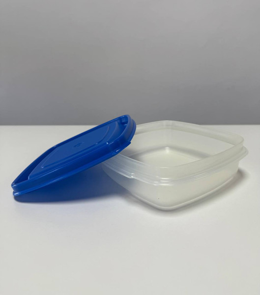 Контейнер Термопласт 081с