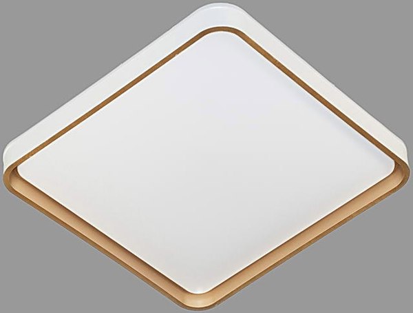 Потолочный светильник Aitin-Pro D2043 2х60Вт 500х500 - фото