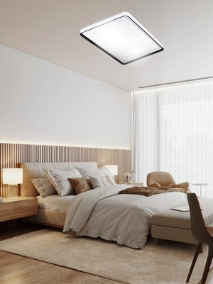 Потолочный светильник Aitin-Pro D2043 2х120Вт 950х650