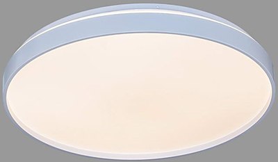 Потолочный светильник Aitin-Pro D3062 2х60Вт D500 - фото