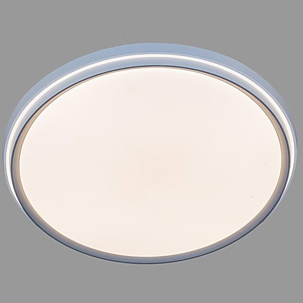 Потолочный светильник Aitin-Pro D5284 2х60Вт D500