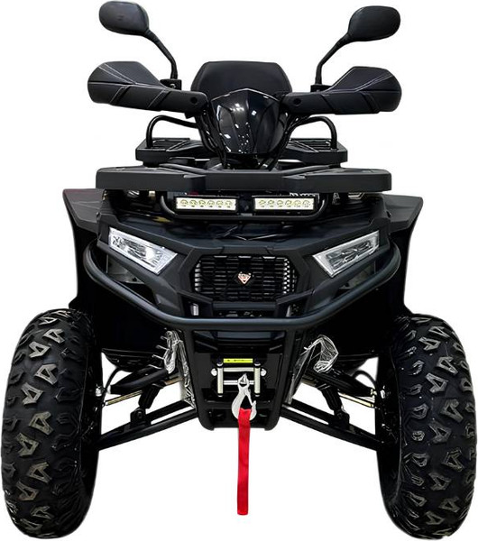 Квадроцикл Motax Grizlik W200 - фото