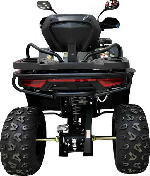 Квадроцикл Motax Grizlik W200