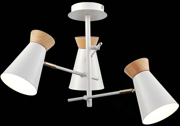 Потолочный светильник Evoluce SLE1252-502-03 - фото