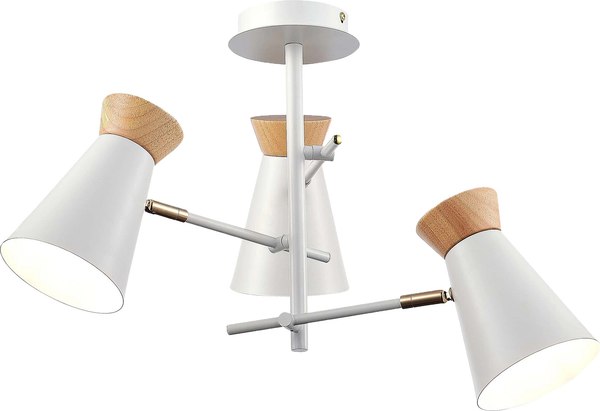 Потолочный светильник Evoluce SLE1252-502-03