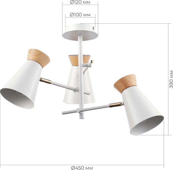 Потолочный светильник Evoluce SLE1252-502-03