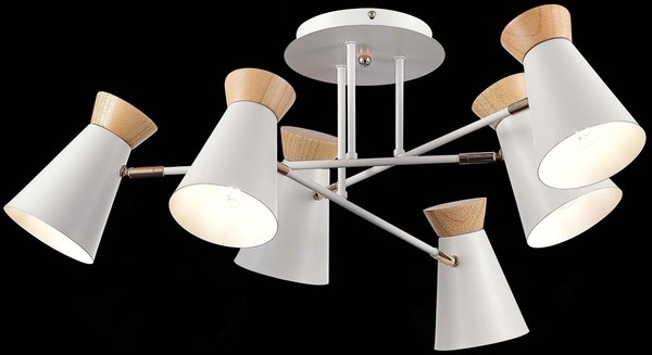 Потолочный светильник Evoluce SLE1252-502-06 - фото