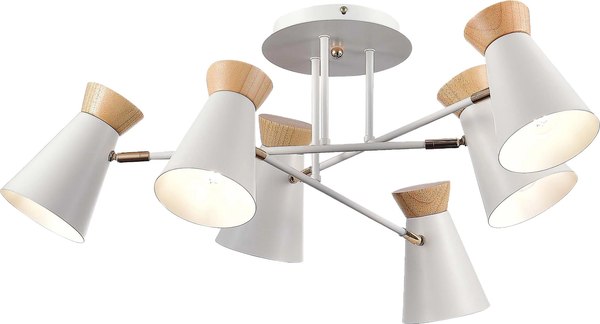 Потолочный светильник Evoluce SLE1252-502-06