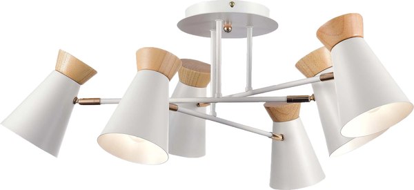 Потолочный светильник Evoluce SLE1252-502-06