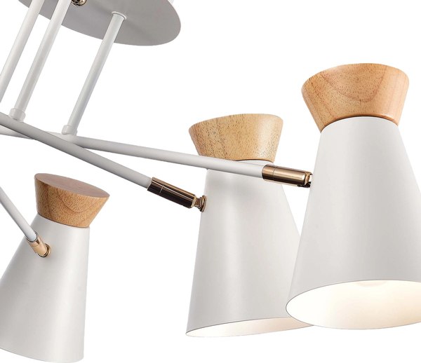 Потолочный светильник Evoluce SLE1252-502-06