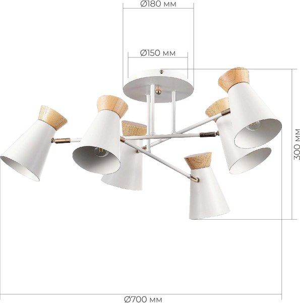 Потолочный светильник Evoluce SLE1252-502-06