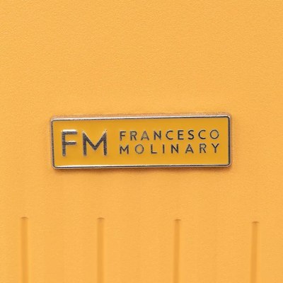 Чемодан на колесах Francesco Molinary 344-PP4041/2-20MST