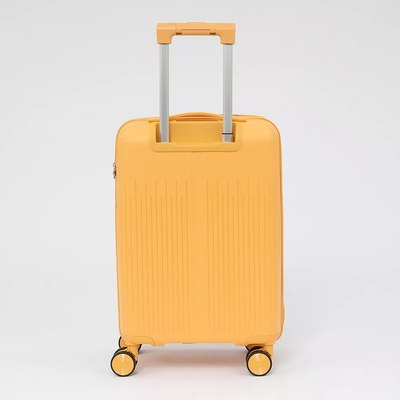 Чемодан на колесах Francesco Molinary 344-PP4041/2-20MST