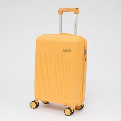 Чемодан на колесах Francesco Molinary 344-PP4041/2-20MST