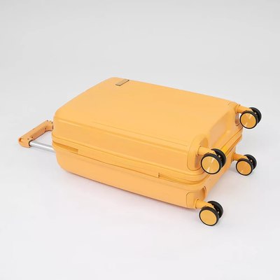 Чемодан на колесах Francesco Molinary 344-PP4041/2-20MST