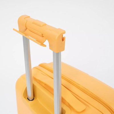 Чемодан на колесах Francesco Molinary 344-PP4041/2-20MST