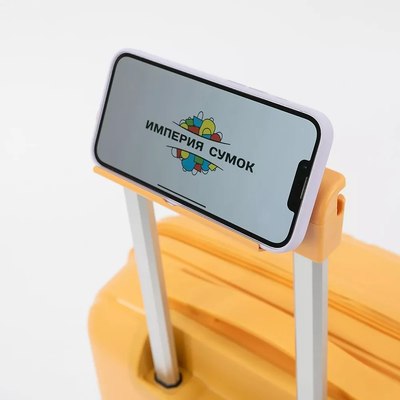 Чемодан на колесах Francesco Molinary 344-PP4041/2-20MST