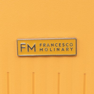 Чемодан на колесах Francesco Molinary 344-PP4041/2-24MST