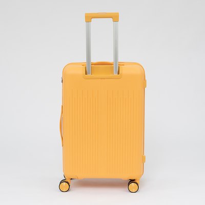 Чемодан на колесах Francesco Molinary 344-PP4041/2-24MST