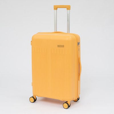 Чемодан на колесах Francesco Molinary 344-PP4041/2-24MST