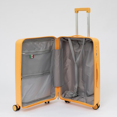 Чемодан на колесах Francesco Molinary 344-PP4041/2-24MST