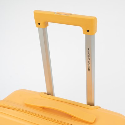 Чемодан на колесах Francesco Molinary 344-PP4041/2-24MST