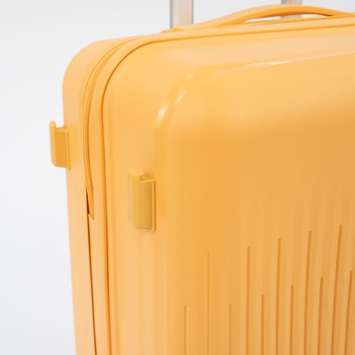 Чемодан на колесах Francesco Molinary 344-PP4041/2-24MST